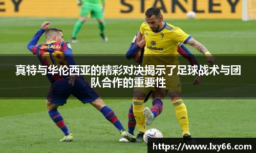 jn江南